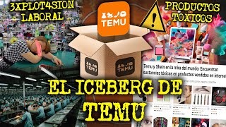 EL LADO TURBIO DE TEMU  EL ICEBERG DE TEMU [upl. by Nosecyrb]