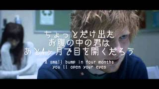 【洋楽劇場】Small Bump  Ed Sheeran 歌詞＆和訳 [upl. by Hanny]