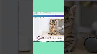 【Canva】自分が持っている写真で簡単にスライドショー動画をつくる！Canva パソコン初心者 スライドショー動画 猫動画 [upl. by Shah858]