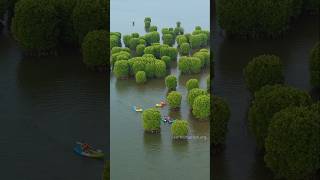 Boating through Kavvayi Backwaters in Kannur [upl. by Juliann]