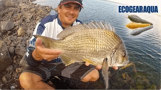 HOW TO FISH ECOGEAR AQUA BREAM PRAWNS  With Commentary [upl. by Domeniga]