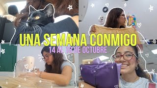 Vlog Una Semana Conmigo Comprando materiales haciendo ropita  michis [upl. by Fosque]