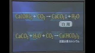 041112化学・石灰水に二酸化炭素を吹き込むと炭酸カルシウムになるが続けると炭酸水素カルシウム水溶液になる [upl. by Iy]