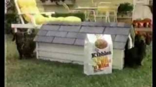 Dachshund comercial Kibbles n Bits n Bits n Bits  Weiner Dog 1986 [upl. by Benedic]