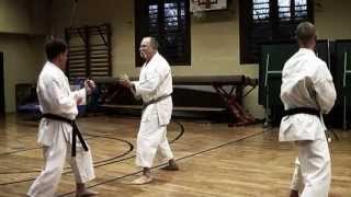 Kumite Training 1 w Sensei Gyula Büki 7th Dan Shotokan Karate [upl. by Aillicsirp]