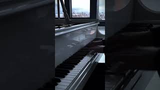 满天星的花语「思念想念纯洁的爱」 piano 钢琴 pianocover shorts [upl. by Attennaj]