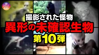 【映像】撮影された異形の未確認生物 第10弾 [upl. by Millman]