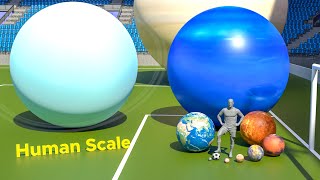 Planet Size Comparison  Human Scale Comparison  3D Comparison [upl. by Ahsetra52]