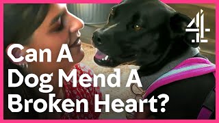 Dog Helps Mend A Broken Heart  The Dog House [upl. by Mehelhteb]