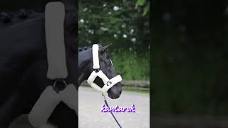 Jeździeckie życie Anastazji🩷  O której godzinie to widzicie horse horselover riding [upl. by Tami]