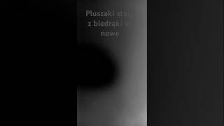 Nowe pluszaki vs nowe [upl. by Luna]