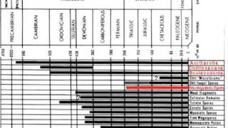 Microfossils Pt 1A [upl. by Aileno]