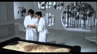 SANSPA LUXURIOUS WATER JET BED THERAPY [upl. by Borreri]