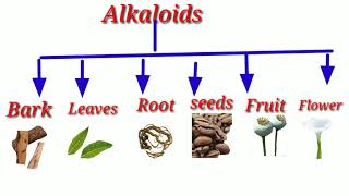 Alkaloids in plants10th class [upl. by Cattan]