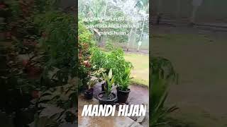 Detik detik hujan lebat [upl. by Anod]