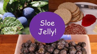 How to make Sloe Jelly not Sloe Gin [upl. by Ahseyd]