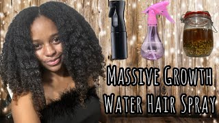 How to Grow Your Hair  Fenugreek Cloves and Rosemary Water Spray  How to Use It [upl. by Duquette723]