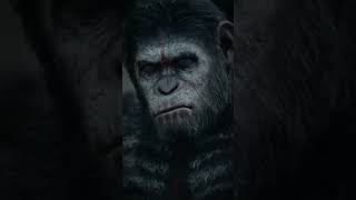 Planet Of The Apes edit 4K  Cesar or Kona tell me  planetoftheapes viralvideo edit [upl. by Agnola784]