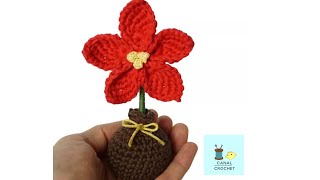 Flor de Pascua a crochet [upl. by Ahcsatan]