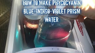 How to Make Phycocyanin BlueIndigoViolet prism water [upl. by Dressel940]