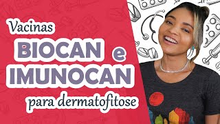 BIOCAN E IMUNOCAN VACINAS CONTRA DERMATOFITOSE USADAS COMO TRATAMENTO EM CÃES E GATOS [upl. by Aela]