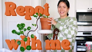 Lets repot houseplants Plant Care Hang Out [upl. by Nairadal]