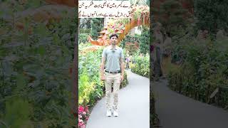 Garden by the bay Singapore Tani Forex motivational video in Urdu and Hindiforexmotivation [upl. by Larok]