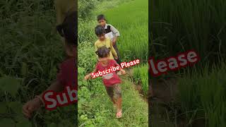 Subscribe telugufarmingvillagelifelifeviralvideo [upl. by Atnovart480]