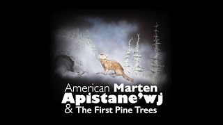 American Marten–Apistanewj–amp The First Pine Trees [upl. by Aspa]