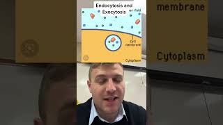 Endocytosis vs exocytosis [upl. by Subocaj572]