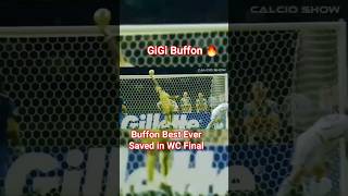 Buffon World Cup Winning Saves 🔥 [upl. by Giustina]