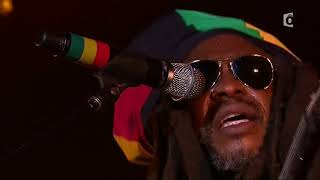 Steel Pulse  Garance Festival • 2013 [upl. by Ahtelrac]