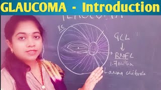 GLAUCOMA OPTIC DISCRETINAL NERVE FIBRES AQUEOUS HUMOUR VISUAL FIELD INTRODUCTION ON GLAUCOMA [upl. by Aksel]