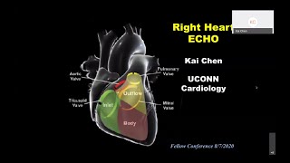 Right Ventricle Kai Chen MD PhD [upl. by Hakym993]