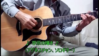 🎵草原の輝き🎵（アグネス・チャン、ソロギター） [upl. by Htnamas]