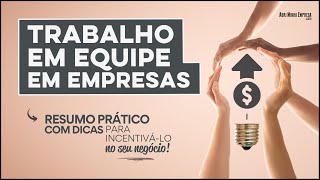 TRABALHO EM EQUIPE EM EMPRESA O QUE É Tudo O Que Precisa Saber de Importante [upl. by Arbrab]