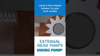 This is how a gear pump works vikingpump gearpump howitworks [upl. by Phelgon703]