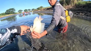 Napakarami pang isda ibinigay nalang ng mayari dalag at tilapia lutang [upl. by Annairt415]