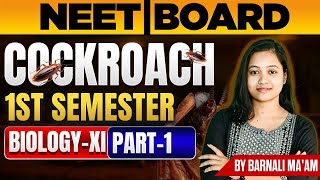 Cockroach Class 11  Cockroach Class 11 Biology  Cockroach Class 11 Neet  Part 1  Barnali Maam [upl. by Ahsillek693]