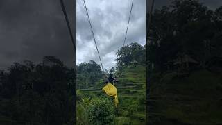 Bali Swing at Tegalalang Rice Terrace Ubud Indonesia 🇮🇩 [upl. by Eiramrebma844]