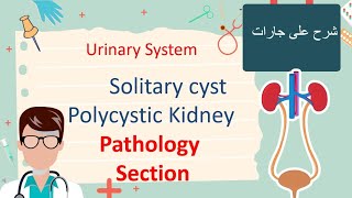 Solitary Kidney cyst and Polycystic Kidney Pathology Section شرح علي جارات [upl. by Tranquada]