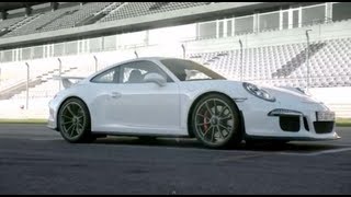 New Porsche 991 GT3 Motorsport [upl. by Saito]