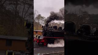 Rasender Roland auf Rügen teamsasgu dampfloktrain eisenbahn [upl. by Lesh]