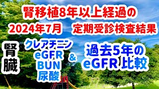 腎移植８年以上経過の【定期受診 検査結果】２０２４年７月 [upl. by Odelia]