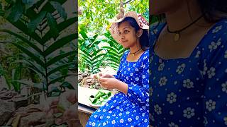 කන්න කිව්වොත් ඕනි එකක් 🤤😋  viralvideo shortsfeed shorts deepawali [upl. by Colp105]