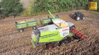 Körnermais ernten  Mähdrescher Lexion Claas 670 TERRA TRAC  combine harvester corn harvest 2018 [upl. by Enialehs293]