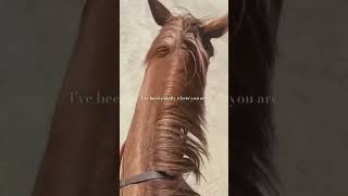 I promise horse horsefan chooseyourhorse yournameyourhorse horseriding equine equation show [upl. by O'Shee]