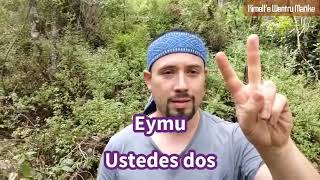 🗣️ Conjugación en lengua mapuche 🧉 MÜR duales [upl. by Ellenor]