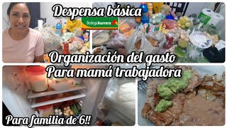 POR FIN ORGANIZACION DEL GASTO Y DESPENSA BÁSICA [upl. by Creath]