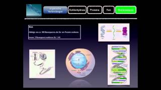 Basiskurs BiochemieChemie Nukleinsäuren Teil 1010 [upl. by Ingham]